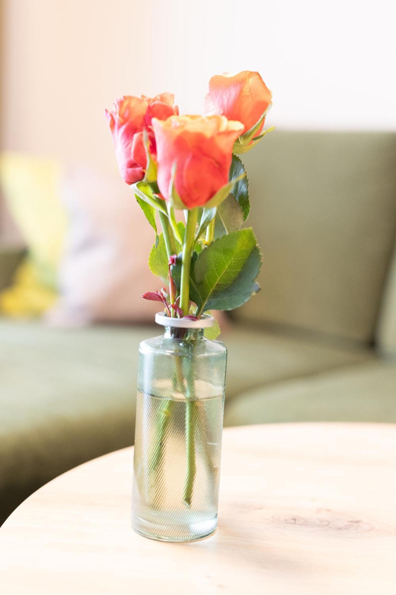 Appartementdeluxe Steiert - Near Europa Park - Rulantica - Spacious - Fully Equipped Kitchen - Private Garden - Free Parking - Pet Friendly Schwanau Eksteriør billede